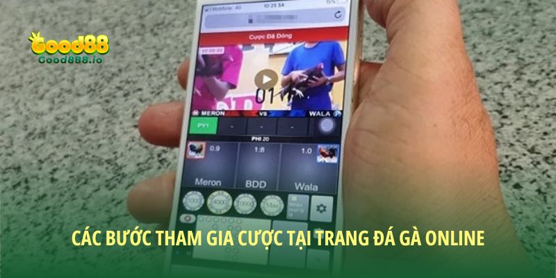 Trang đá gà online Good88 – Sân chơi đỉnh cao cho người mới