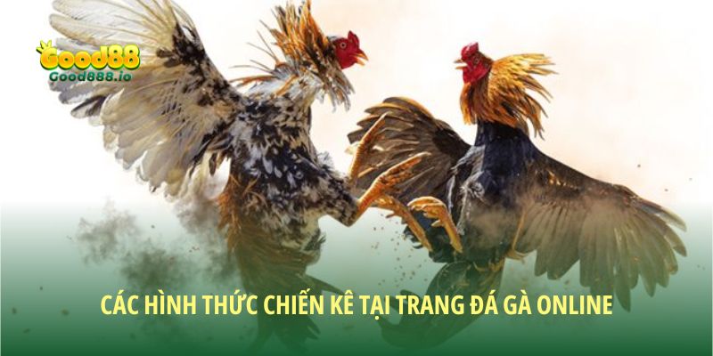 Trang đá gà online Good88 – Sân chơi đỉnh cao cho người mới
