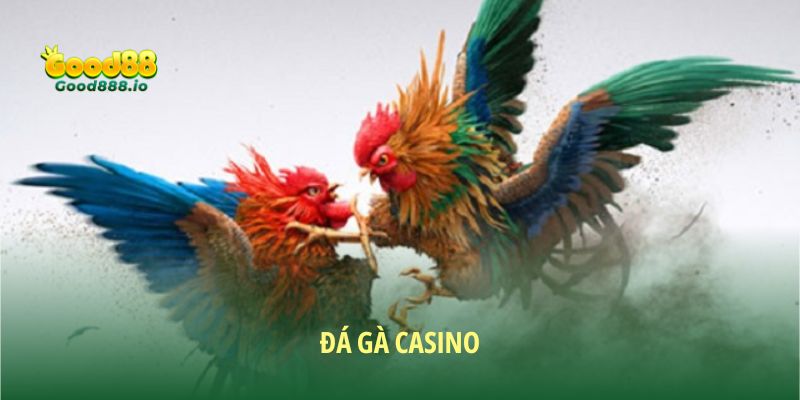 Đá Gà Good88 - Sân chơi chất lượng năm sao 2026
