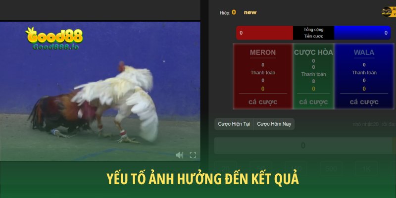 Đá Gà Good88 - Sân chơi chất lượng năm sao 2026