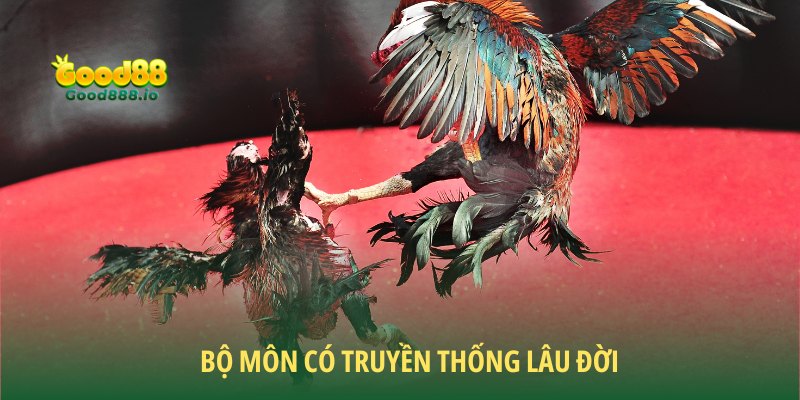 Đá Gà Good88 - Sân chơi chất lượng năm sao 2026