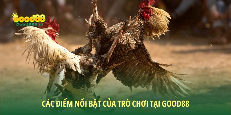 Đá gà Thomo xanh trích - Trò chơi giải trí đỉnh cao Good88