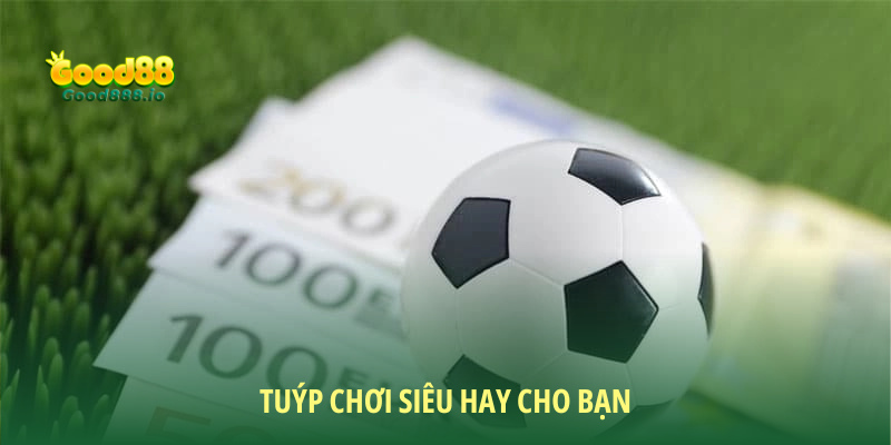 Kèo tài xỉu 2 trái - Bùng nổ với cách chơi cá cược siêu hot