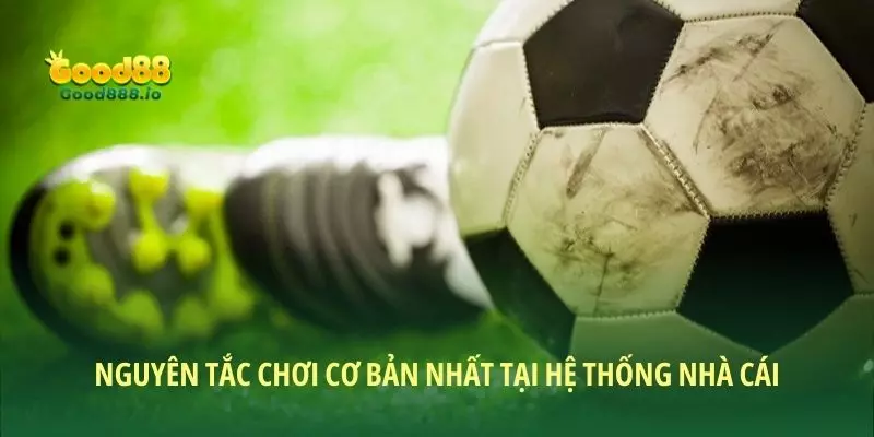 Kèo tỷ số chính xác - Cách chơi “thắng đậm” cho người mới
