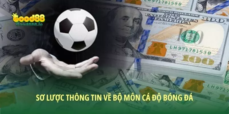 Luật cá độ bóng đá cơ bản nhất mà thành viên mới cần nắm