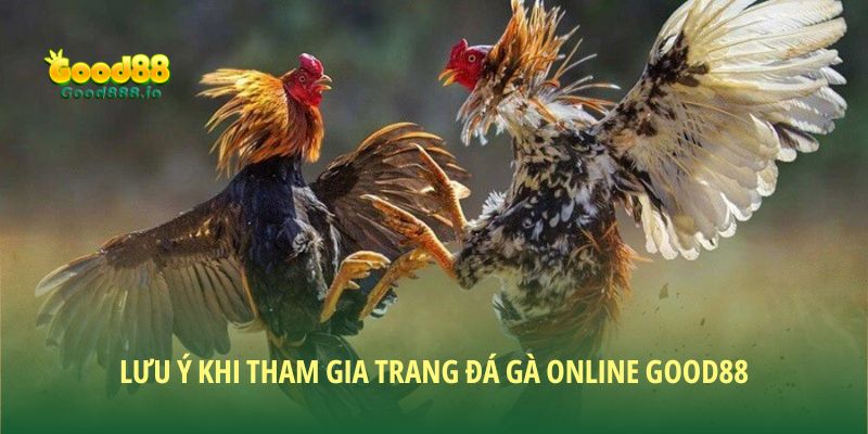 Trang đá gà online Good88 – Sân chơi đỉnh cao cho người mới