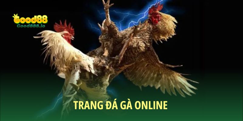 Đá Gà Good88 - Sân chơi chất lượng năm sao 2026